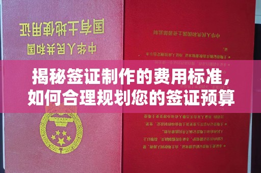 富锦揭秘签证制作的费用标准，如何合理规划您的签证预算