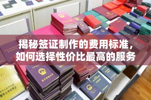 富锦揭秘签证制作的费用标准，如何选择性价比最高的服务？