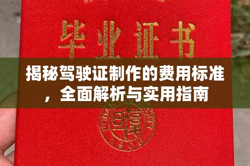 富锦揭秘驾驶证制作的费用标准，全面解析与实用指南